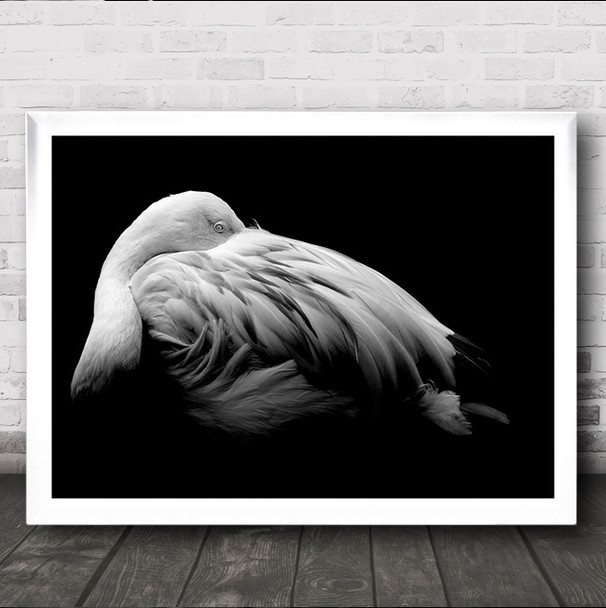 Be Me Flamingo Feather Feathers Animals Dark Hide Wall Art Print