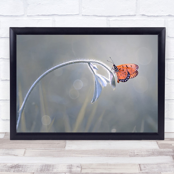 Beautiful Butterfly Grass Garden Bokeh Orange Wall Art Print
