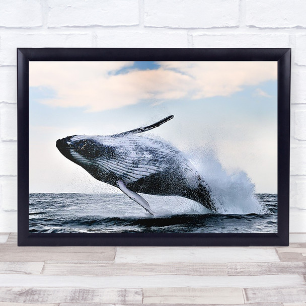 Breach Nature Whale Jump Big Large Huge Majestic Leap Splash Wall Art Print