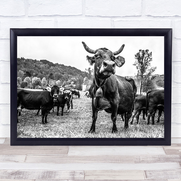 Cheese Posing Cow Standing Strong Wall Art Print