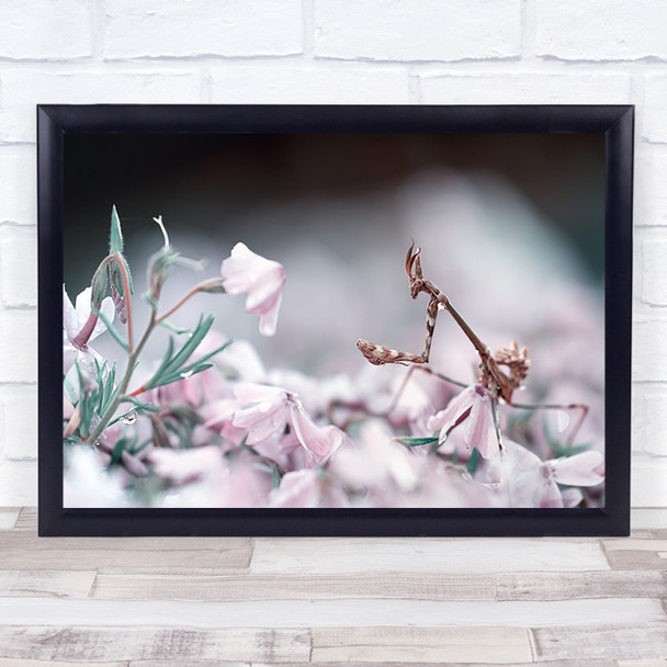 Close Up Y Mantis Toned Pink White Flowers Leaves Wall Art Print