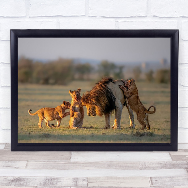 Dad Kids Wildlife Wild Nature Animal Animals Feline Lion Lions Young Art Print