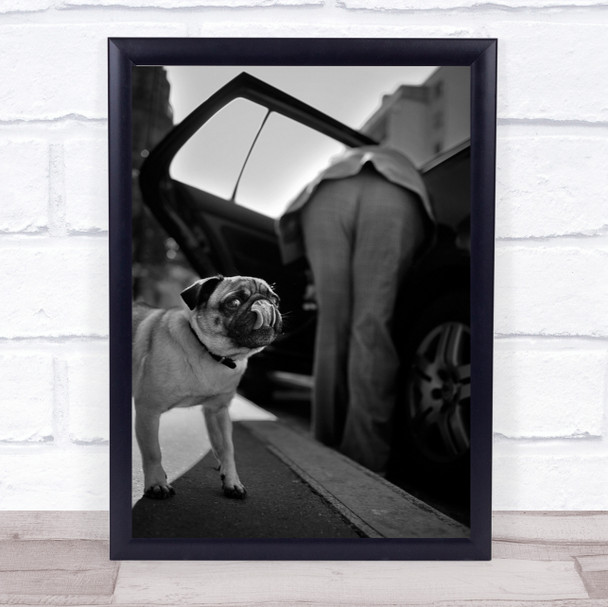 Dog Pet Tongue Lick Street Humour Paris Humour Wall Art Print