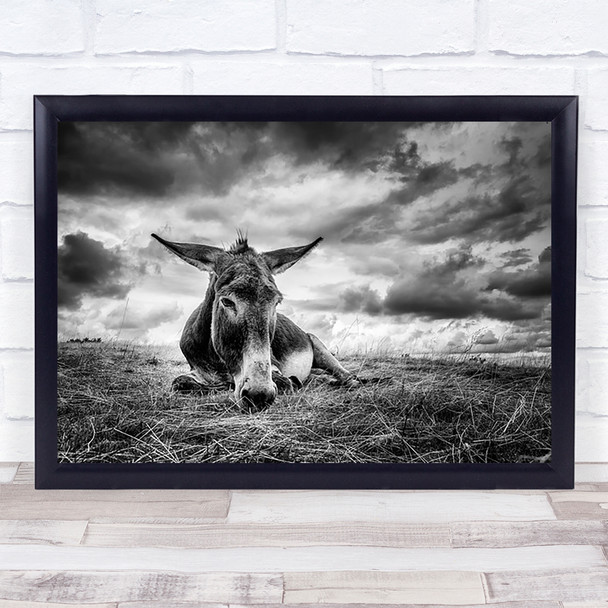 Donkey Animal Animals Balloon Dalsace France Clouds Wall Art Print