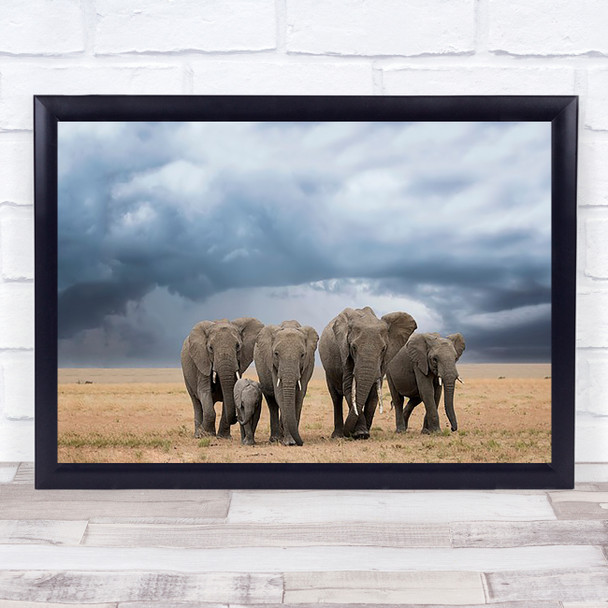 Elephant Walk Herd Stormy Protective Tusk Tusks Elephants Family Cub Art Print
