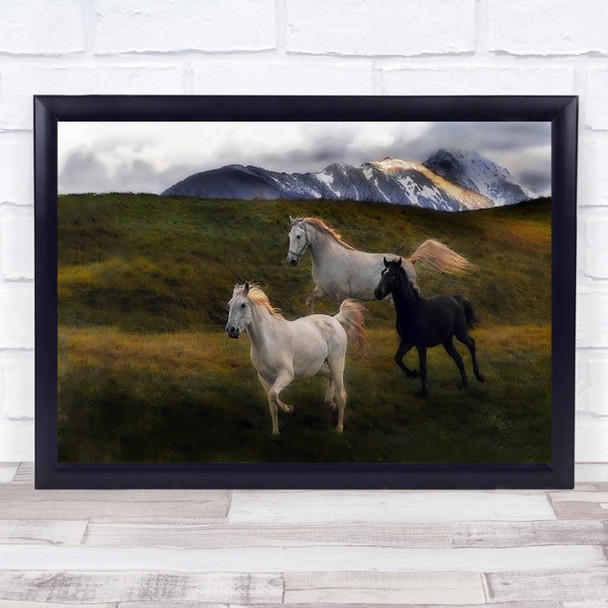 Evening Performance Horse Horses Galloping Animal Animals Trio Wall Art Print