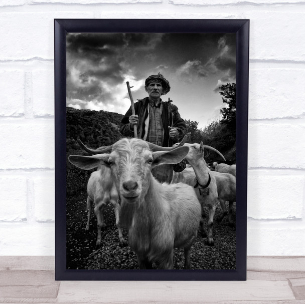 Everyday Man Shephard Horns Goats Sky Village Rural Stick Wall Art Print