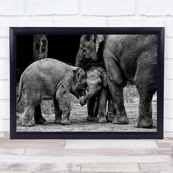Friends Forever Elephant Baby Meeting Youngsters Elephants Cute Cub Art Print
