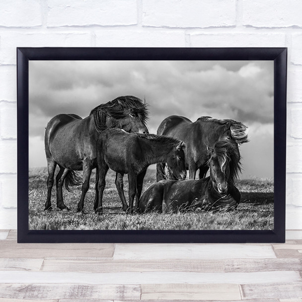 Happy Family Iceland Animals Horse Horses Icelandic Group Wind Wall Art Print