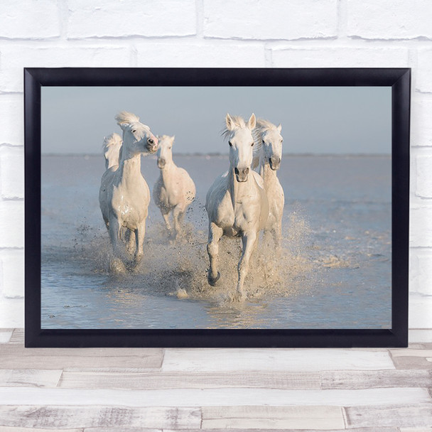 Horses Animal Animals Horse Beach Coast Coastal Camargue France Wall Art Print