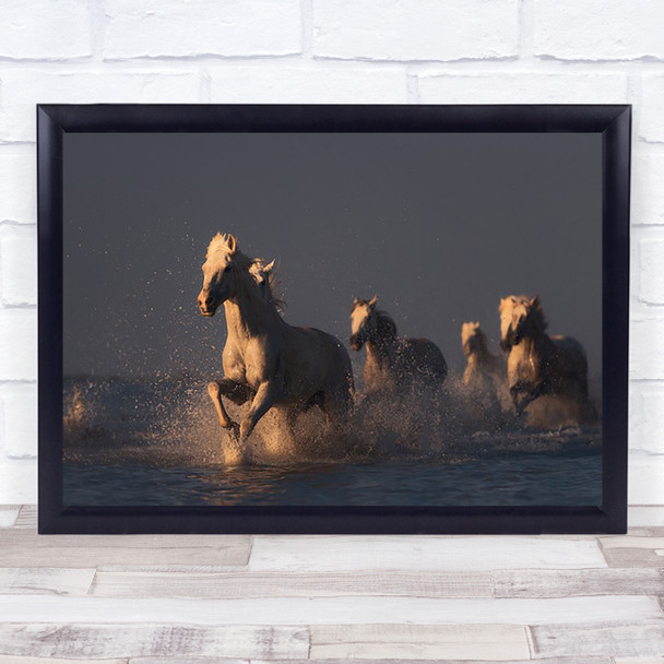 Horses In Sunset Light Camargue France Angels Unicorn Horse Animal Art Print