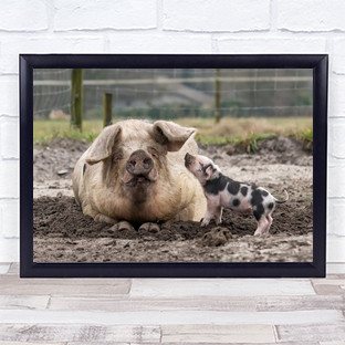 I Love You Mummy Animals Pigs Baby Mother Affection Mud Fence Family Art Print