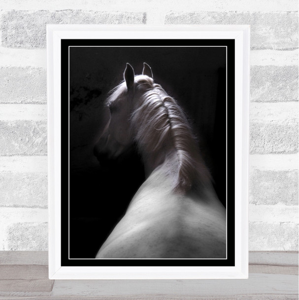Impression Horse Frame White Black Ears Hair Animal Light Wall Art Print