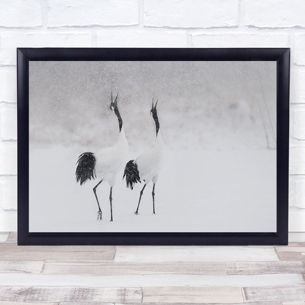 Japanes Cranes Crane Bird Birds Japanese Wildlife Wall Art Print