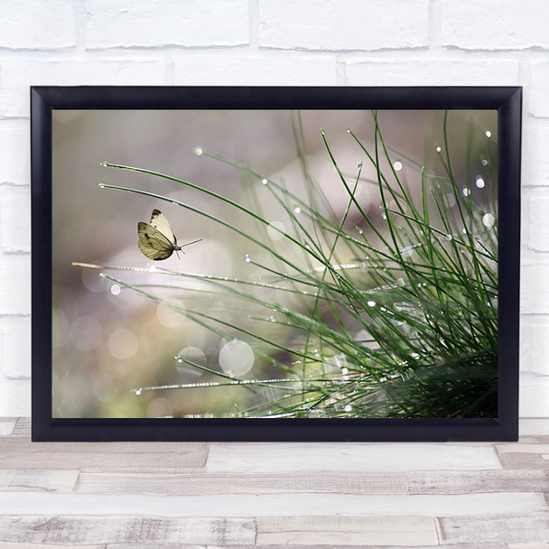 Landing Butterfly Fauna Insect Grass Closeup Drop Drops Water Wall Art Print