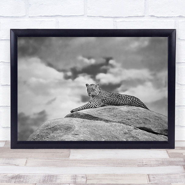Leopard On A Kopje Africa Botswana Feline Nature Safari Laying On Rock Art Print