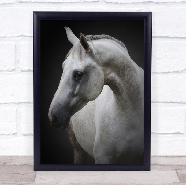 Maggie Horse Horses Simple Animal Animals Neck Kindness Kind Mare Wall Art Print