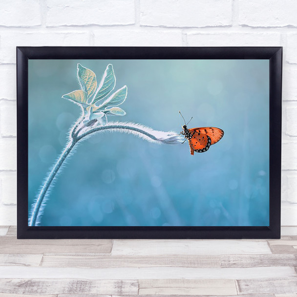 Merindukanmu Butterfly Insect Bokeh Wings Plant Orange Wall Art Print