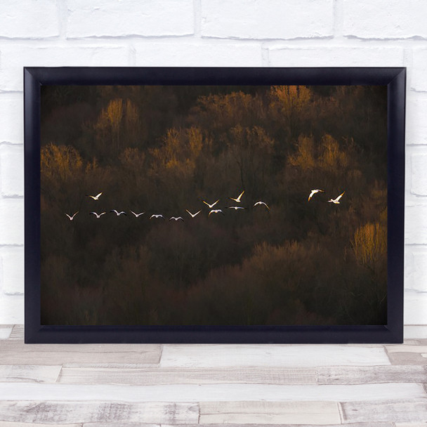 Morning Sunrise Goose Landscape Formation Flight Birds Bird Wall Art Print