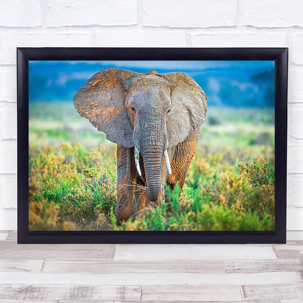 Pastel Elephant Elephants Ears Wildlife Nature Animal Africa Wall Art Print Pastel Elephant Elephants Ears Wildlife Nature Animal Africa Wall Art Print