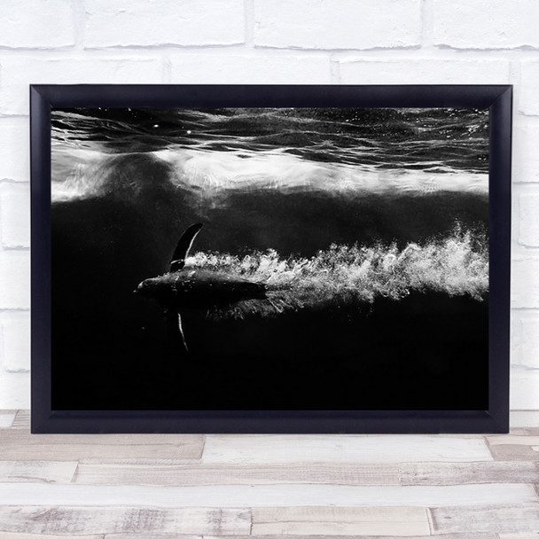 Penguin Shot Underwater Dark Speed Wall Art Print