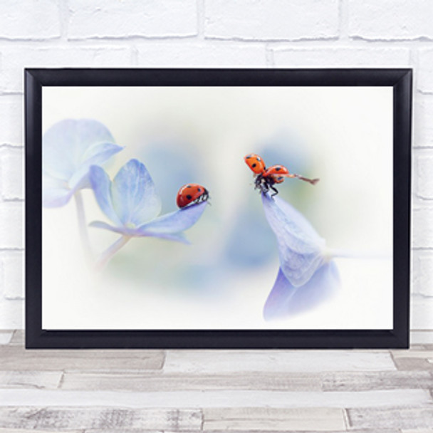 Remember me Ladybird Hydrangea Purple Insect Flower Wall Art Print