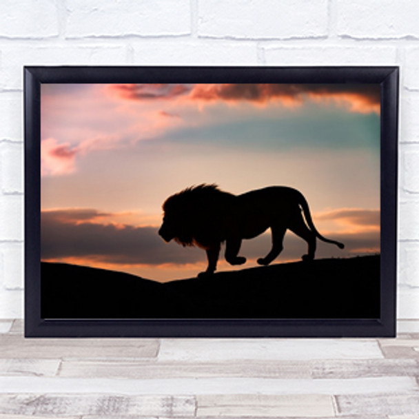 Sunset Lion wildlife Nature Animals Feline Wall Art Print