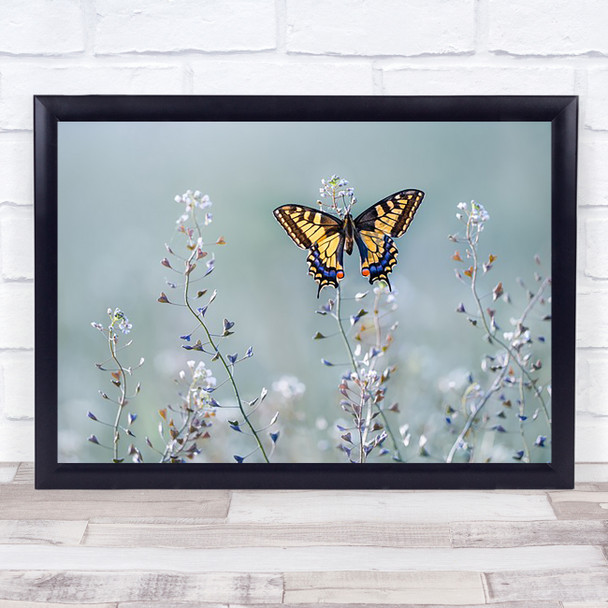 Swallowtail Beauty Butterfly Meadow Flower Flowers Wings Bokeh Wall Art Print