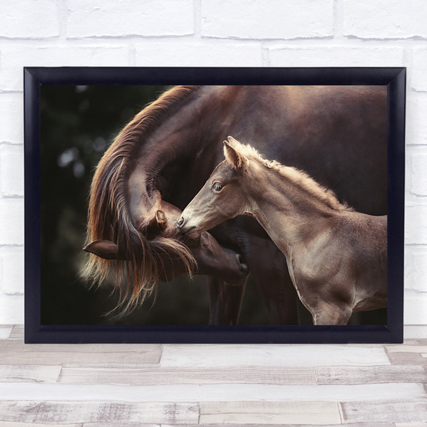 The Bond Horses Mare Foal Brown Horse Animal Animals Cute Wall Art Print