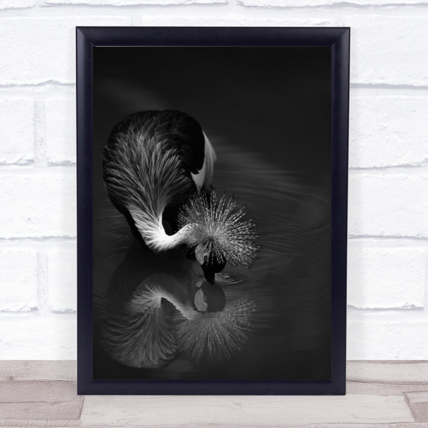 The Reflection Bird Water Mirror Wildlife Wild Animal Nature Wall Art Print