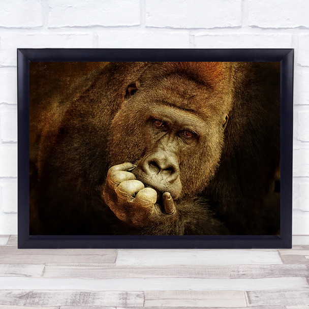 Think Different Animals Worried Thinking Wild Baboon Monkey Eyes Wall Art Print