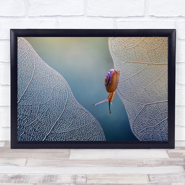 want to cross Snail Snails Shell Animal Animals Leaf Leaves Wall Art Print