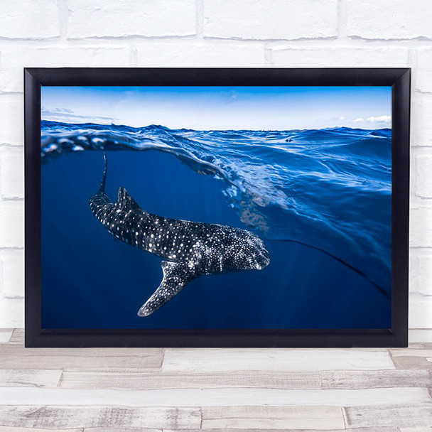 Whale Shark On Split Level Wildlife Sea Ocean Requin Surface Wall Art Print