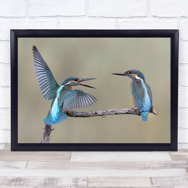 What's Up Kingfisher Birds Dialog Talk Wings Branch Couple Hello Art Print