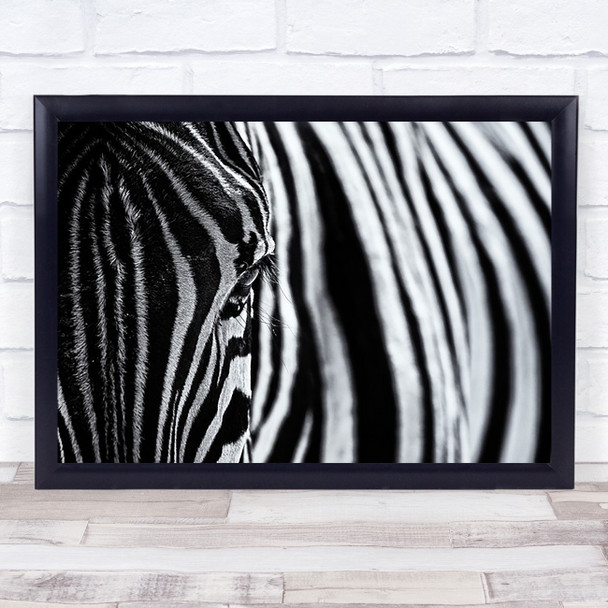 Zebra Animal Animals Stripes Lines Eye Pattern Abstract Wall Art Print