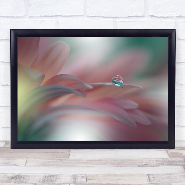 Sunbeam Flower Drops Droplet Soft Delicate Floral Wall Art Print