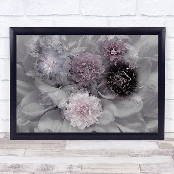 Dahlia Dream Flowers Dahlias Purple Flower Double Wall Art Print