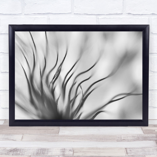 Dandelion Seeds Abstract Stalks Stalk Flower Seed Wall Art Print