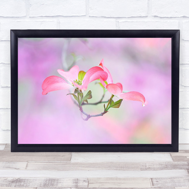 Dogwood Flower Spring Pastel Colours Wall Art Print