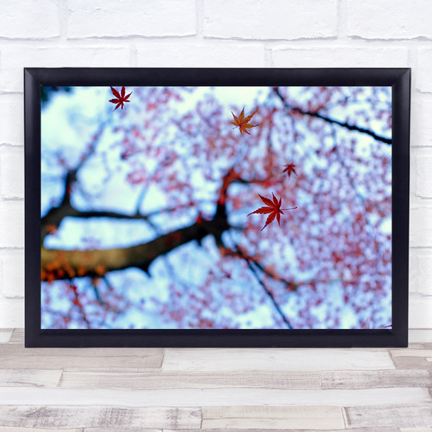 Heirinji Autumn Fall Leaf Leaves Saitama Japan Tree Trees Wall Art Print