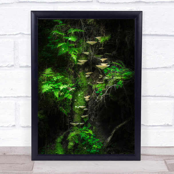 Mushroom Green Mushrooms Moss Fern Jungle Tree Forest Wall Art Print