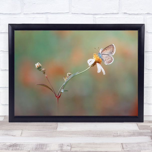 Nangkring Indah Butterfly Plant Flower Bokeh Garden Summer Wall Art Print
