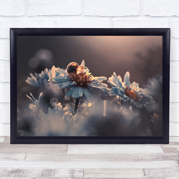 Riding Zone Snail Shell Animal Animals Flower Flowers l Dew Wall Art Print