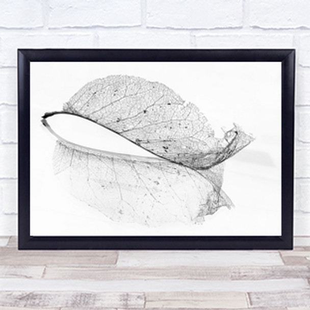 The Old Leaf Autumn Fall Skeleton Wall Art Print