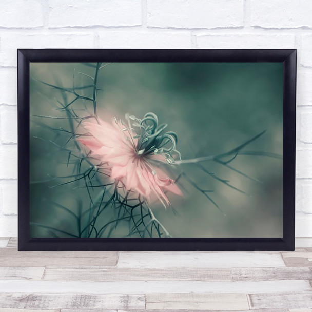 The virgin Flower Bokeh Pink Soft Garden Wall Art Print