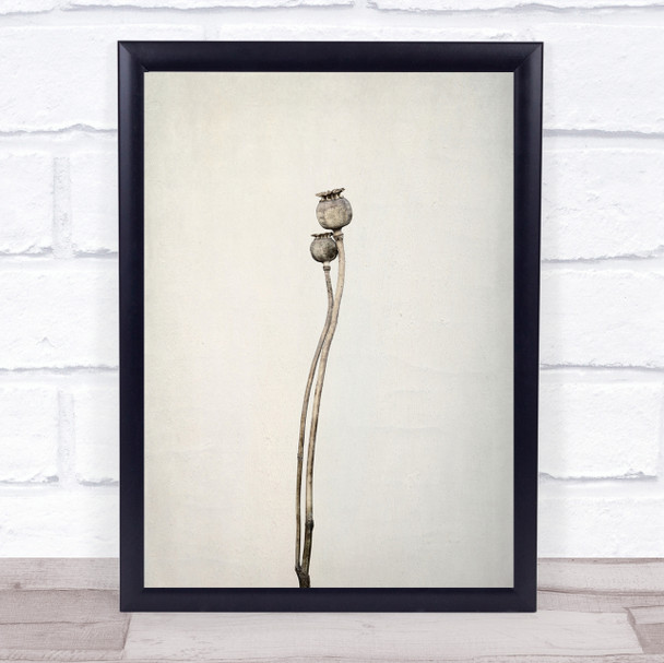 Two old poppies Minimal Simplicity Botanical Poppy Wall Art Print
