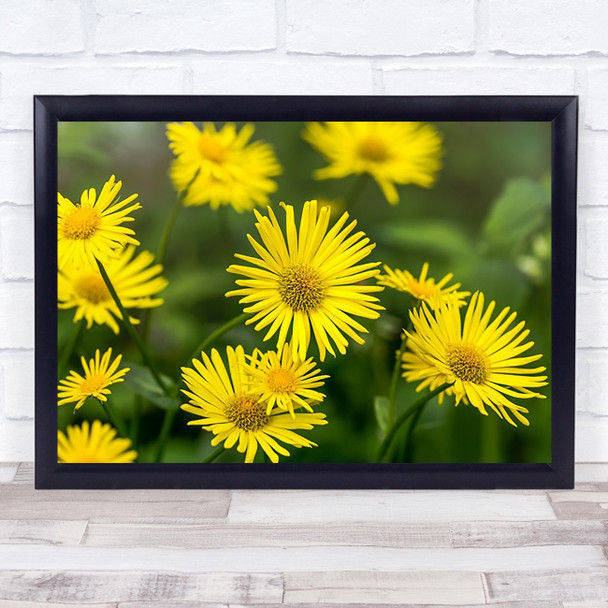 Yellow Flowers In Field Wall Art Print
