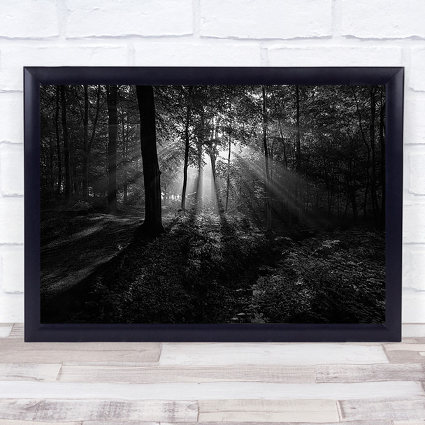 A Sunny Morning Denmark Skive Forest Wood Sun Rays Wall Art Print