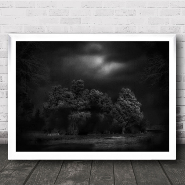 Moonlight Raaverie Netherlands Friesland B&W Trees In Dark Forest Wall Art Print