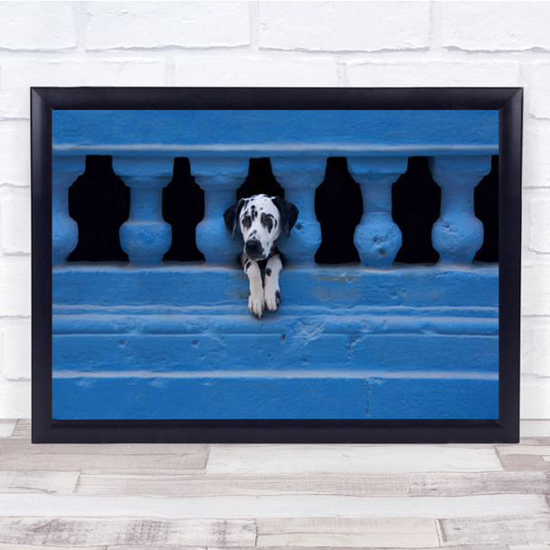Centro Habana Dog Blue Havana Centrohabana Cuba Street Fun Funny Wall Art Print